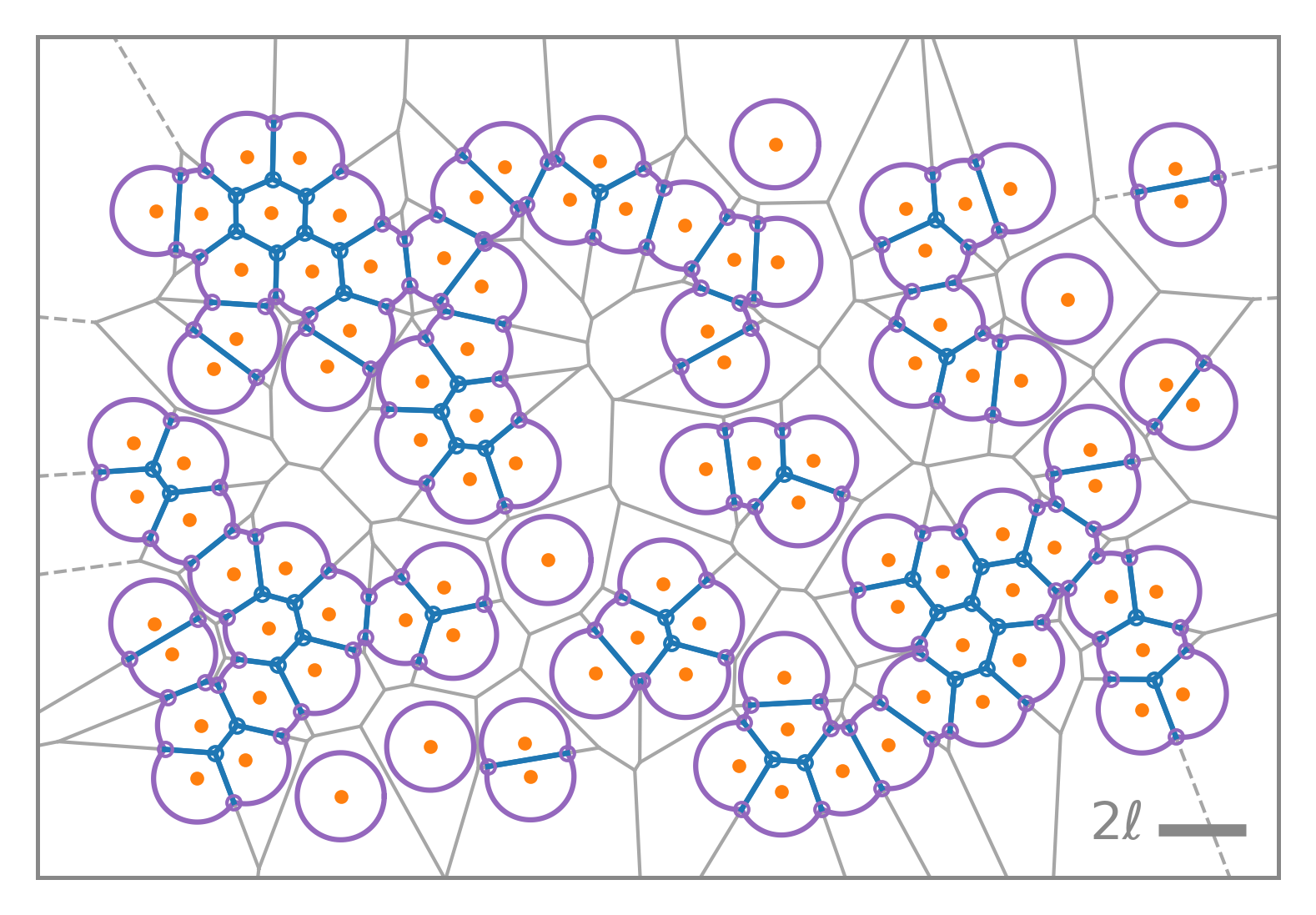 Active finite Voronoi model illustration
